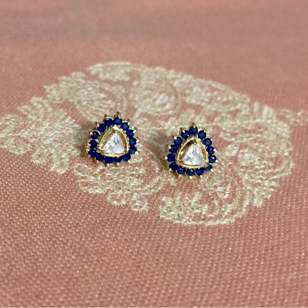 Elegant earrings from India